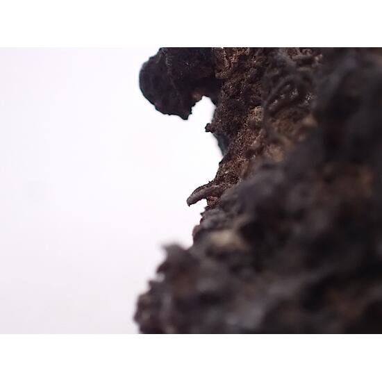 Native Silver & Argentite