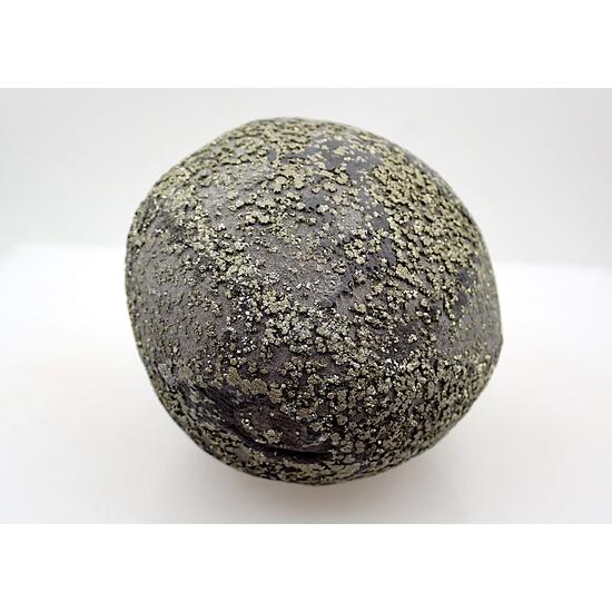 Pyrite Concretion