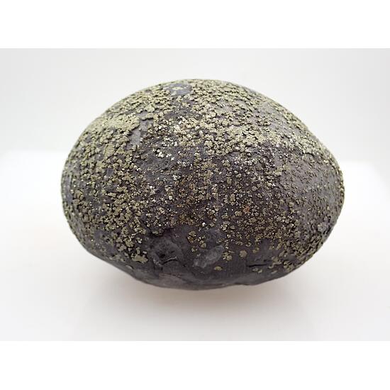 Pyrite Concretion
