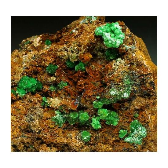 Annabergite & Cabrerite