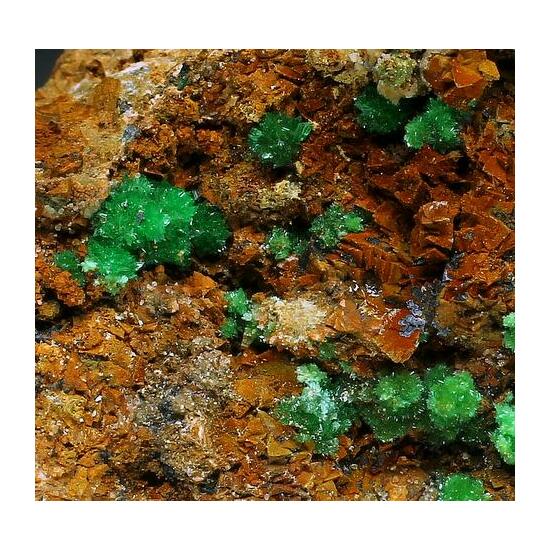 Annabergite & Cabrerite