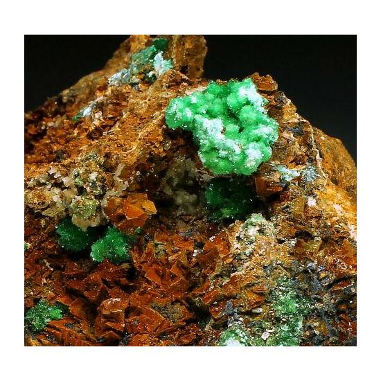 Annabergite & Cabrerite