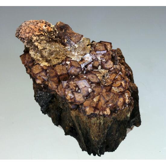 Andradite & Hedenbergite