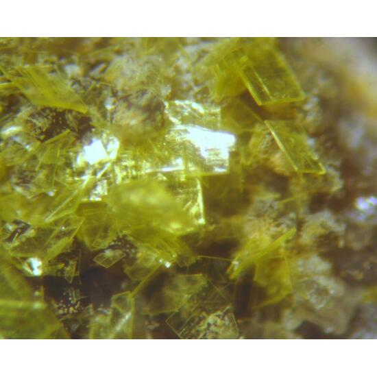 Autunite