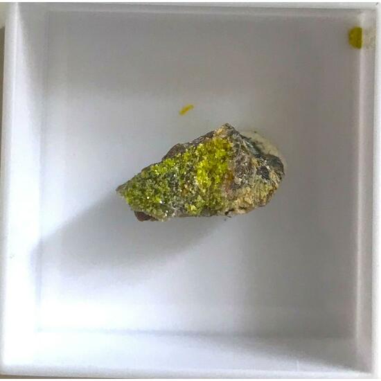 Autunite