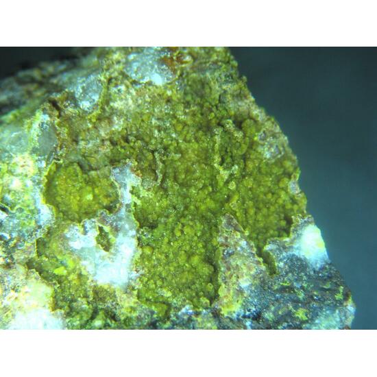 Carminite & Plumbogummite