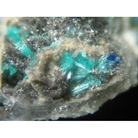 Serpierite Linarite