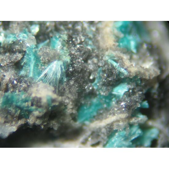 Serpierite Linarite