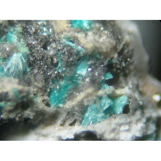 Serpierite Linarite