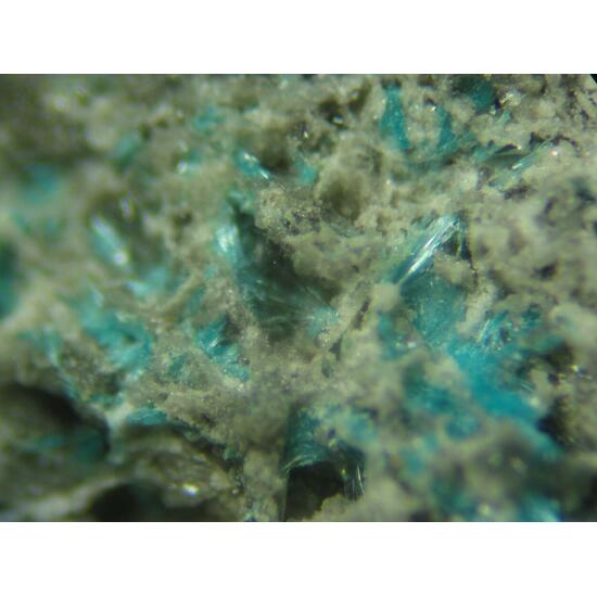 Serpierite Linarite