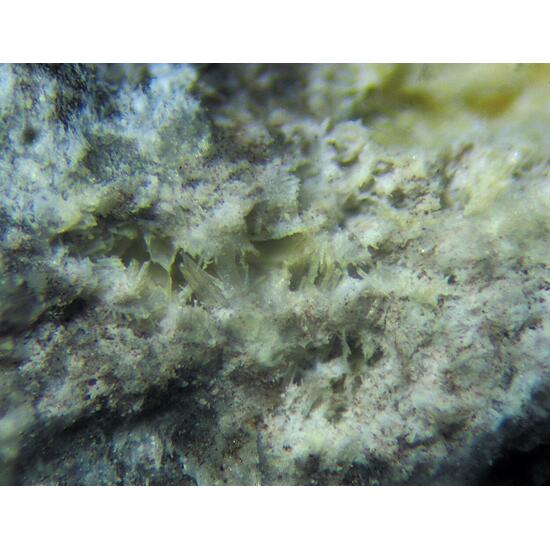 Afwillite & Ettringite