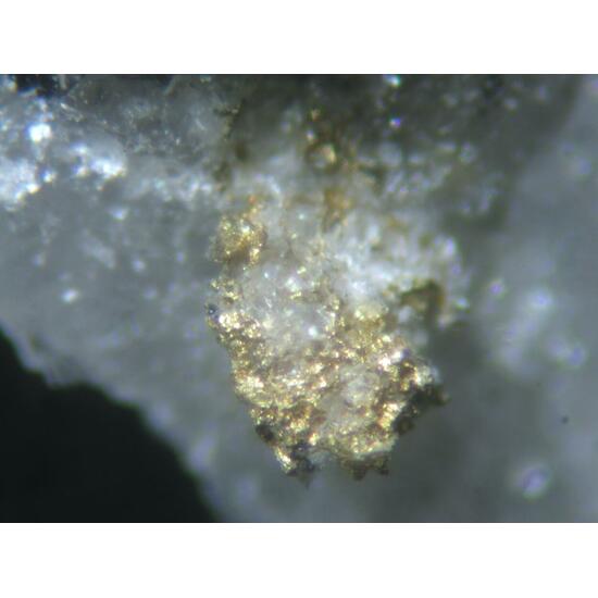 Cosalite Gold Galena Pyrite