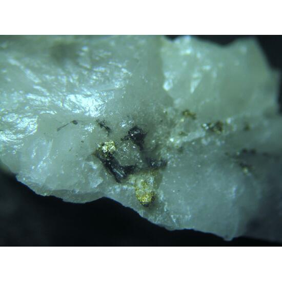 Cosalite Gold Galena Pyrite