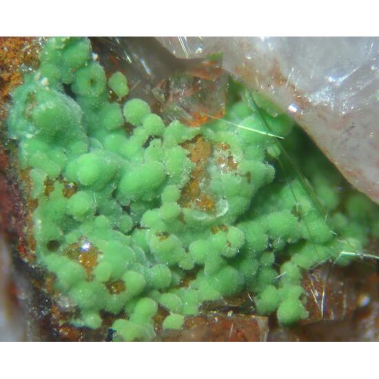Conichalcite & Agardite-(Ce)
