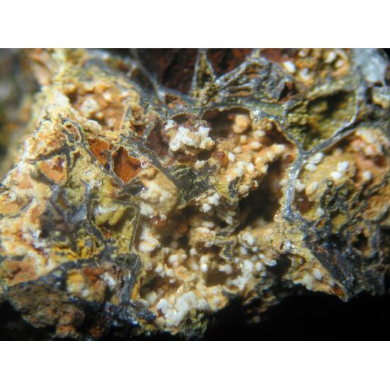 Jarosite Scorodite & Bariopharmacosiderite