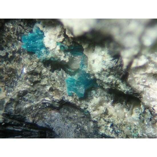 Leadhillite & Langite