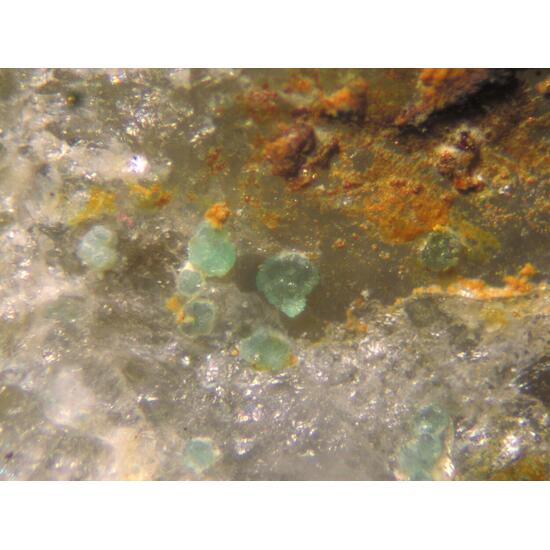 Natanite & Turquoise