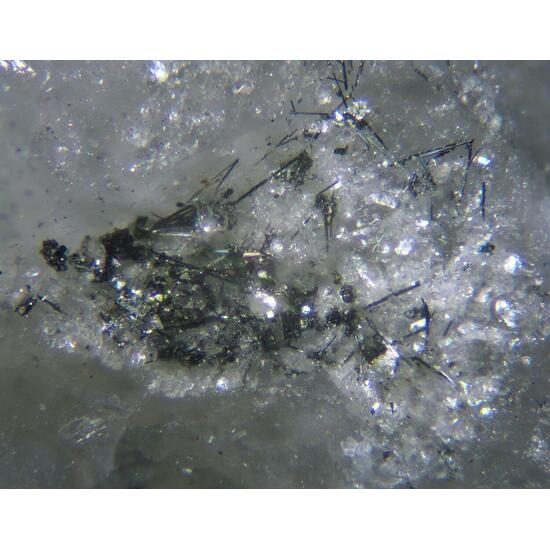 Gold Cosalite Galena