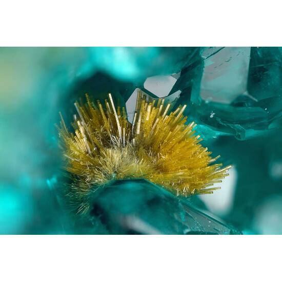 Conichalcite Dioptase & Fornacite