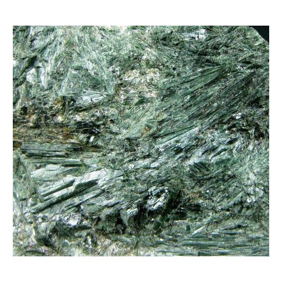 Actinolite