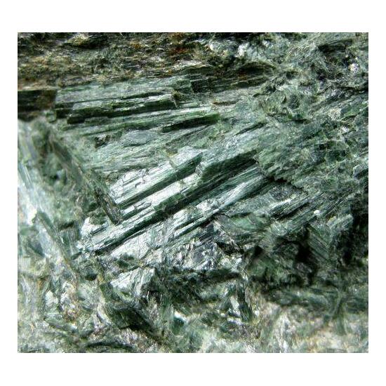 Actinolite