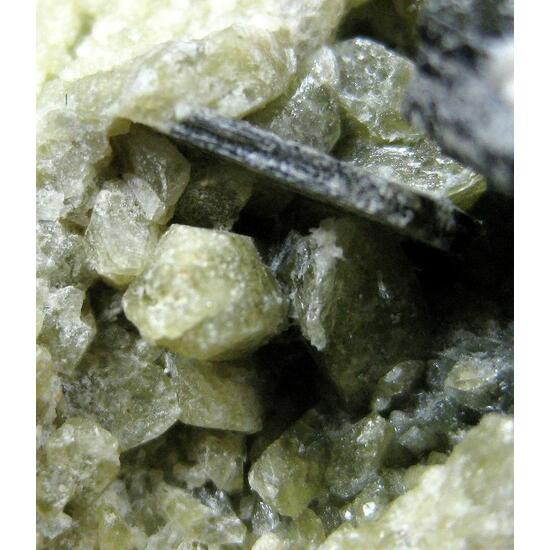 Fassaite With Biotite