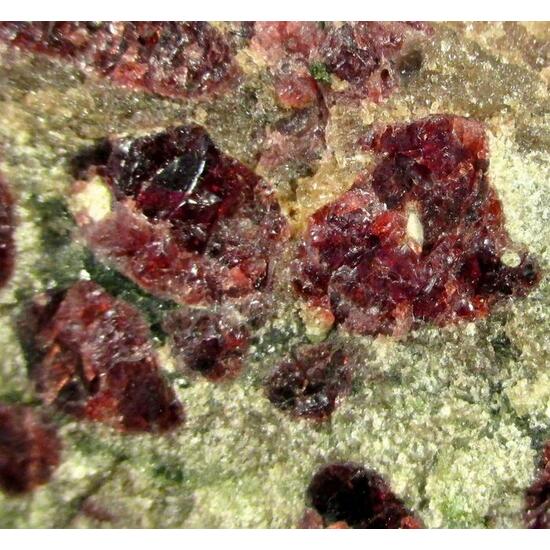 Pyrope & Chromian Diopside