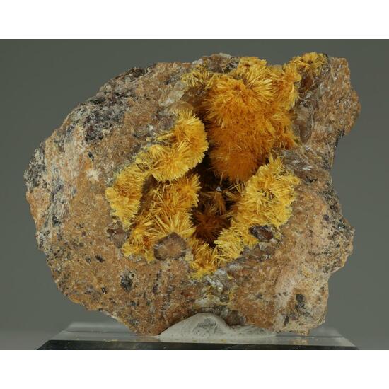 Boltwoodite
