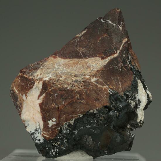 Coralloite