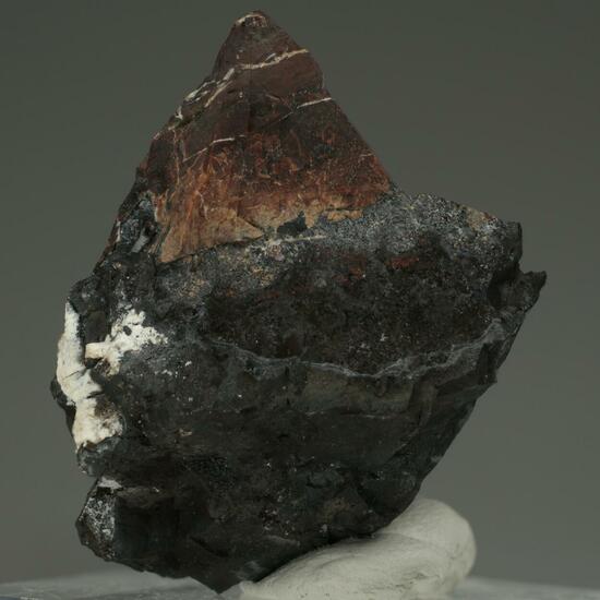 Coralloite