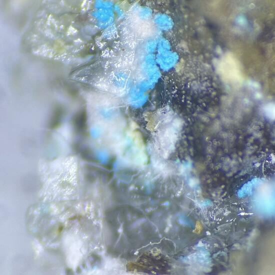 Currierite Lavendulan