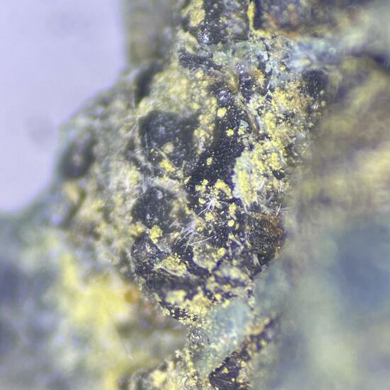 Cousinite & Plancheite