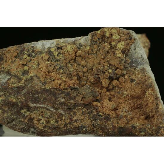 Cobaltarthurite