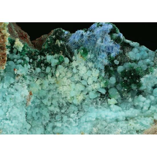 Chalcoalumite Brochantite & Cyanotrichite