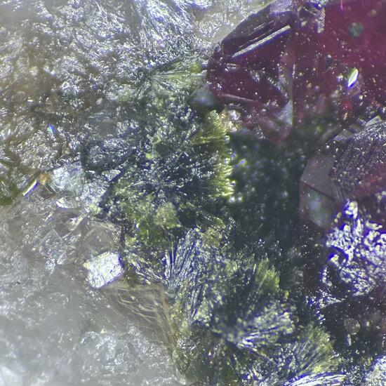 Cobaltaustinite & Roselite