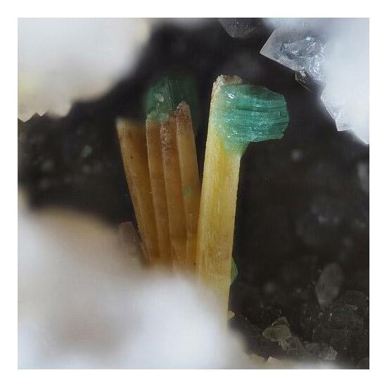 Torbernite & Parsonsite