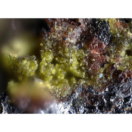 Betpakdalite-CaMg & Sewardite