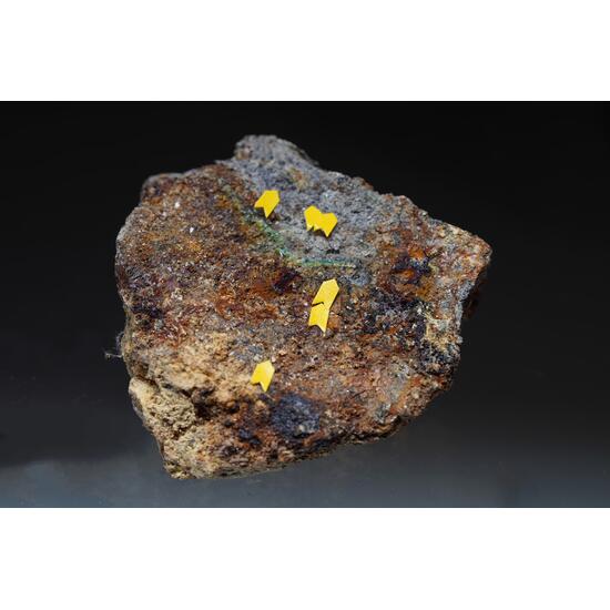 Joliotite & Sellaite