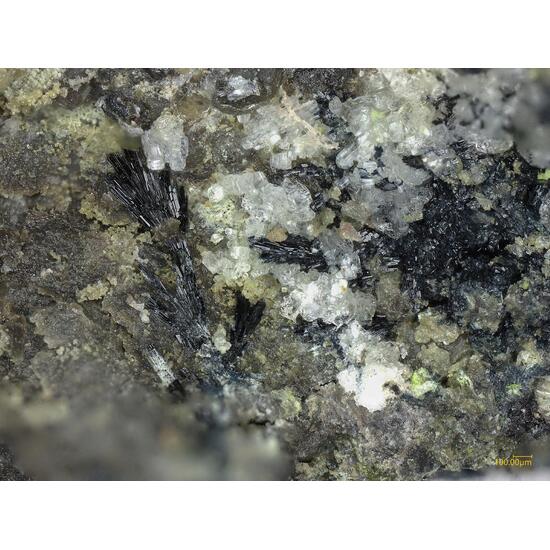 Vanarsite