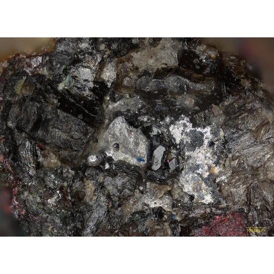 Calomel & Native Mercury