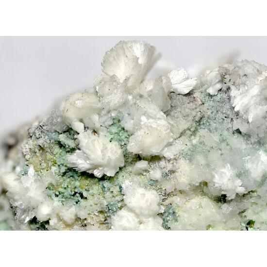 Picropharmacolite & Guérinite