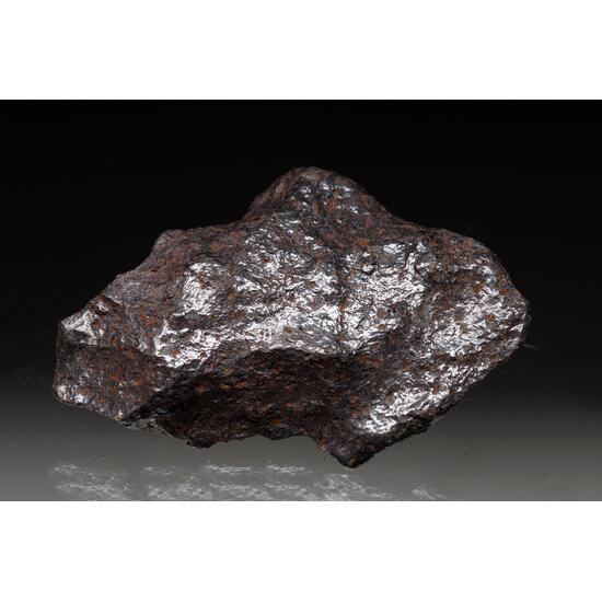 Iron Meteorite