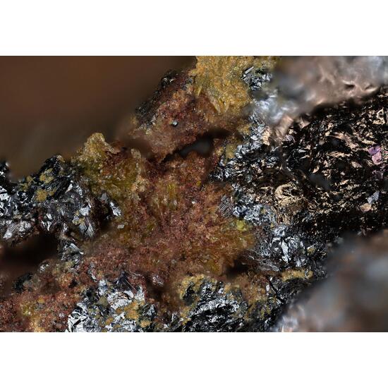 Bartelkeite & Segnitite