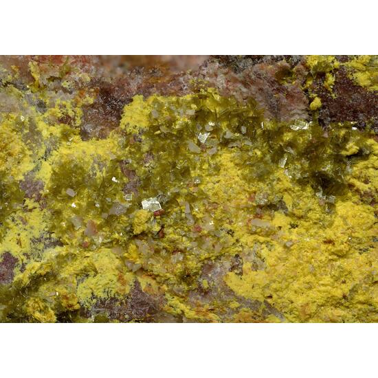 Saléeite & Phosphuranylite