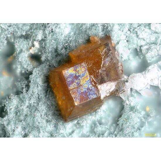 Benitoite Joaquinite-(Ce) & Neptunite