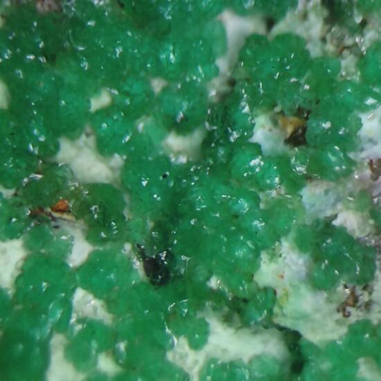 Adamite & Zincolivenite
