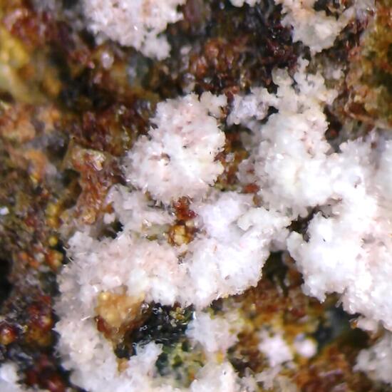 Chinchorroite & Magnesiocanutite