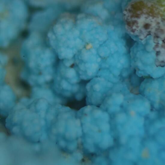 Chalcomenite & Cyanotrichite