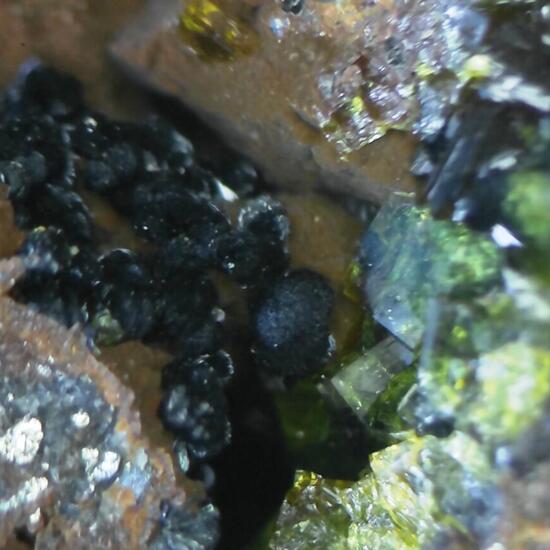 Dufrénite & Pharmacosiderite