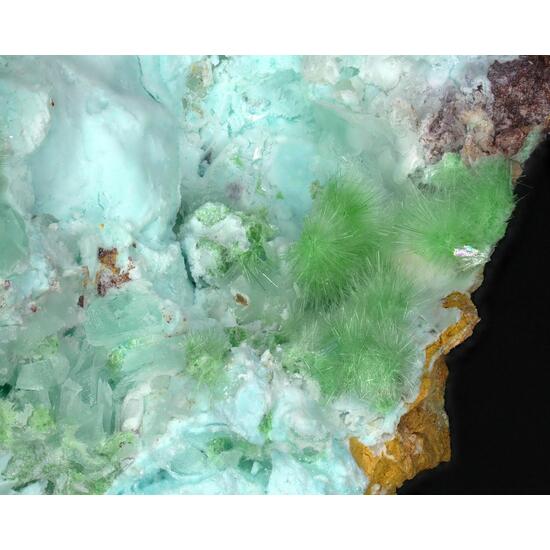 Agardite-(La) On Aurichalcite